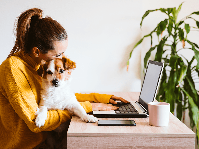 Homeoffice Arbeitsplatz - Remote Arbeit bei SICURA SOFT GmbH